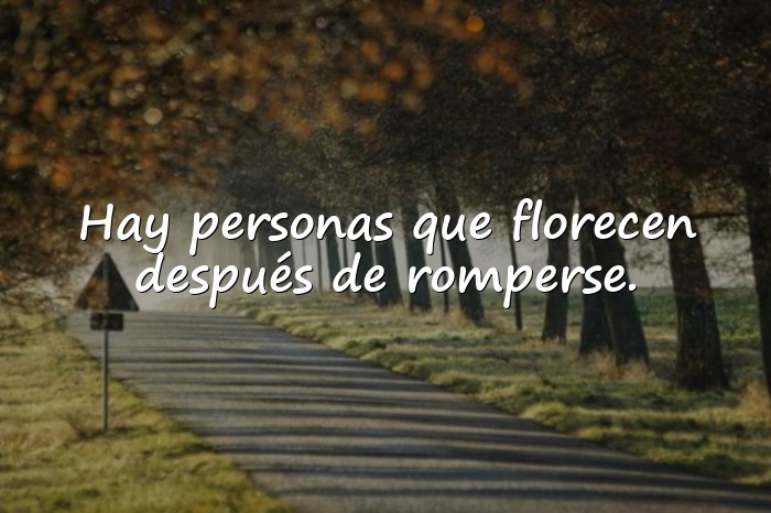 Imágenes frases motivadoras - 18
