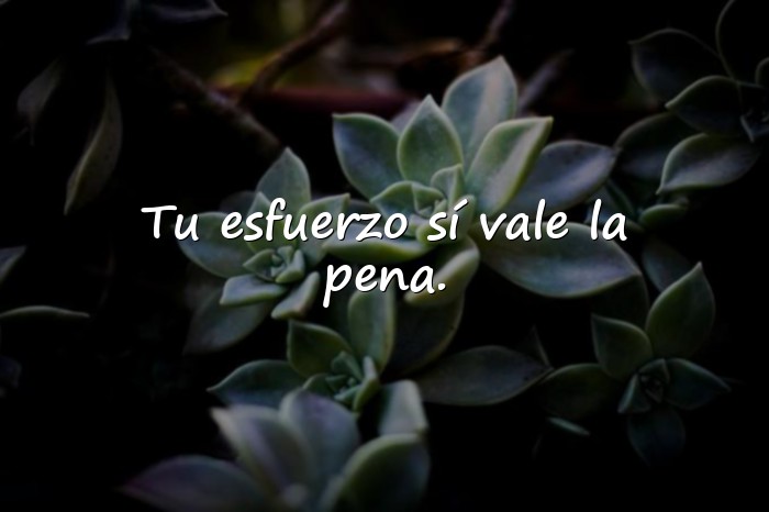 Imágenes frases motivadoras cortas - 7