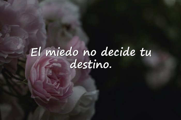 Imágenes frases motivadoras cortas - 4