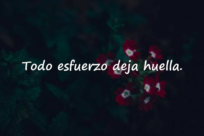 Imágenes frases motivadoras cortas - 18