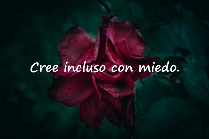 Imágenes frases motivadoras cortas - 13