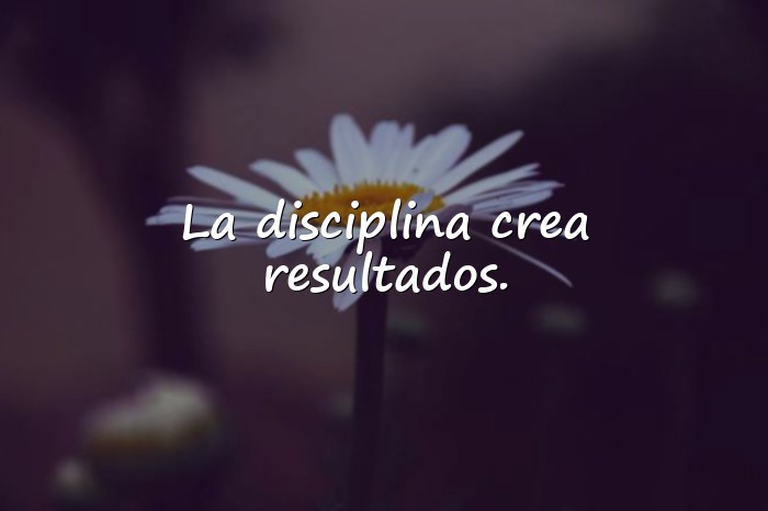 Imágenes frases motivadoras gym - 17