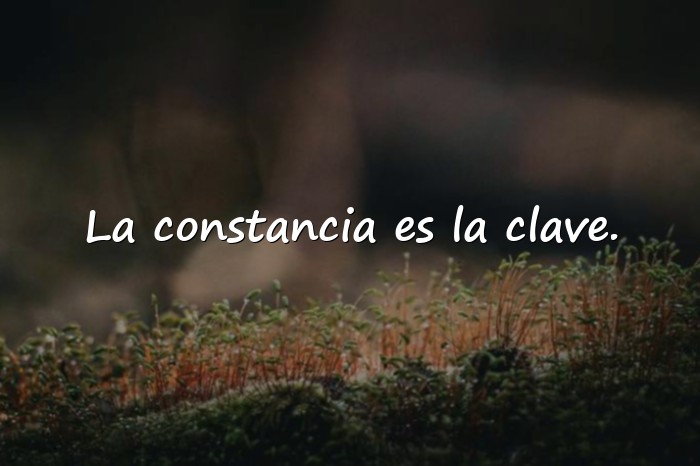 Imágenes frases motivadoras gym - 12