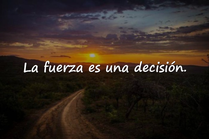 Imágenes frases motivadoras gym - 19