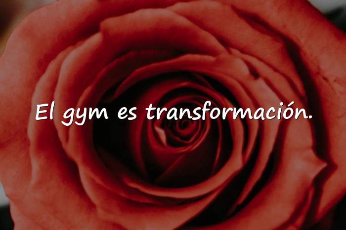 Imágenes frases motivadoras gym - 10