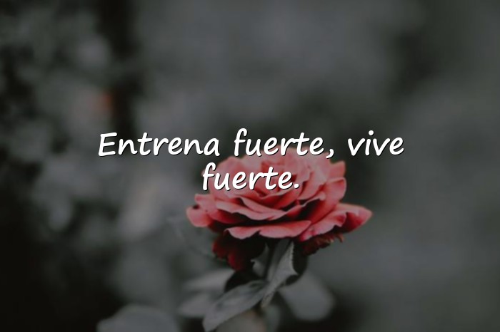 Imágenes frases motivadoras gym - 6