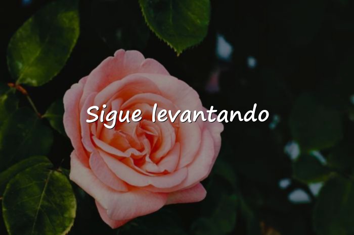 Imágenes frases motivadoras gym - 1
