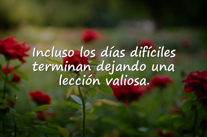 Imágenes Frases Motivadoras Para Seguir Adelante - 19