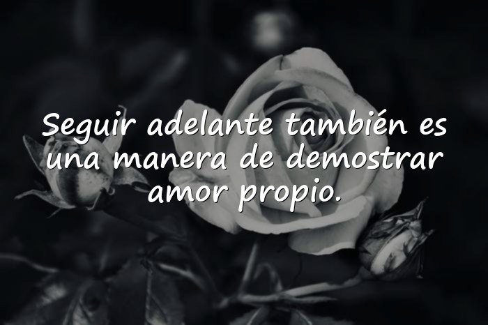 Imágenes Frases Motivadoras Para Seguir Adelante - 1