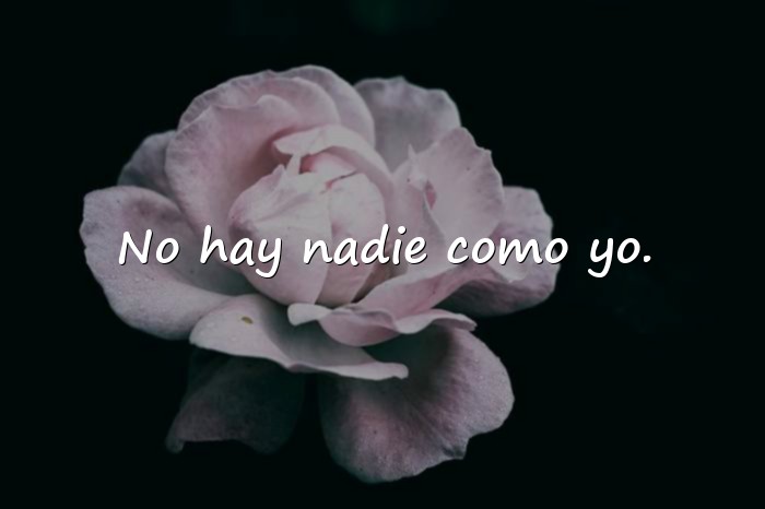 Imágenes frases narcisistas - 13