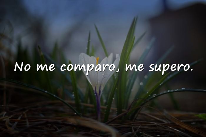 Imágenes frases narcisistas - 8