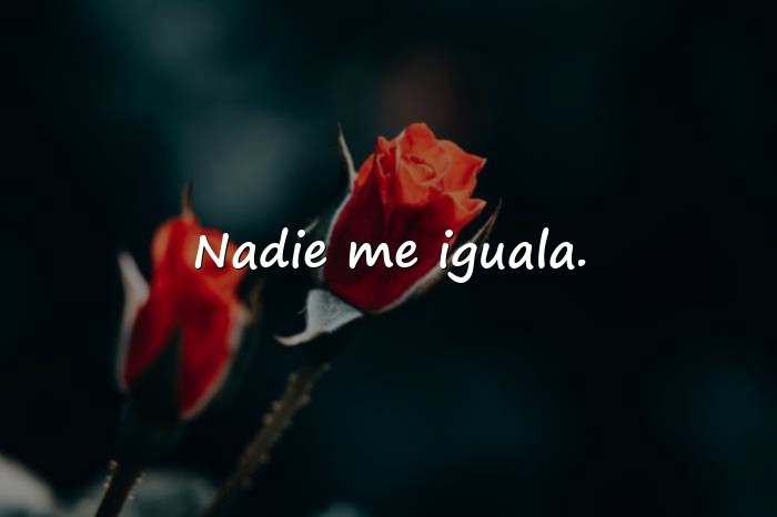 Imágenes frases narcisistas - 5