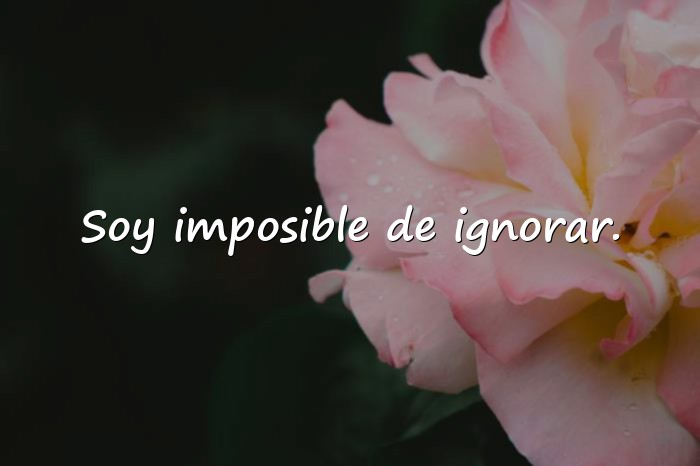 Imágenes frases narcisistas - 20
