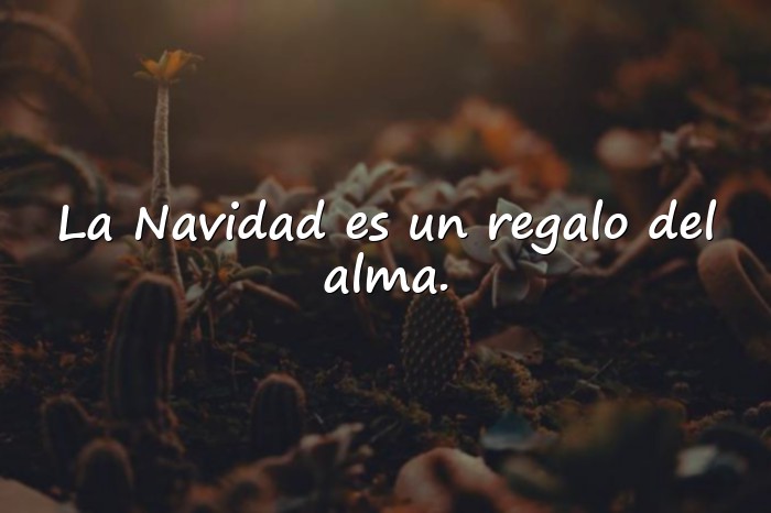 Imágenes frases navideñas - 25