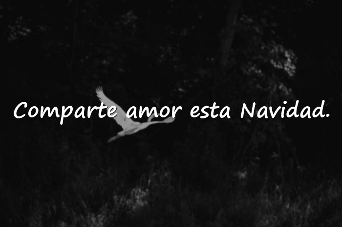 Imágenes frases navideñas - 22