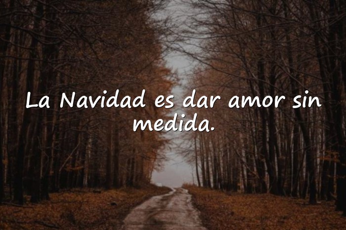 Imágenes frases navideñas - 17