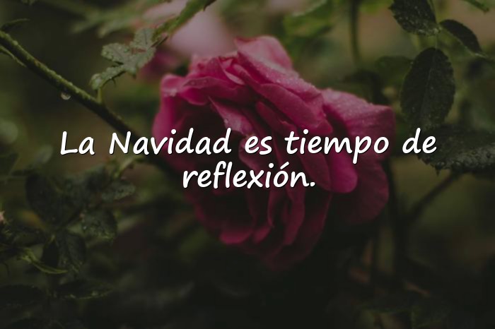 Imágenes frases navideñas - 12