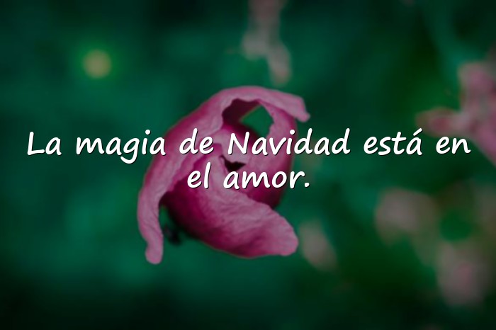Imágenes frases navideñas - 7