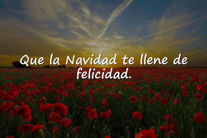 Imágenes frases navideñas - 3