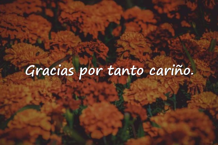 Imágenes frases para abuelos - 19