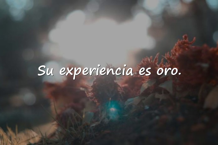 Imágenes frases para abuelos - 9
