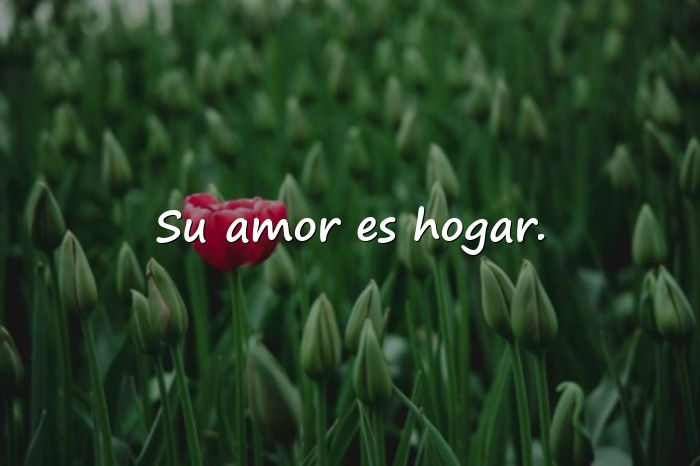 Imágenes frases para abuelos - 21