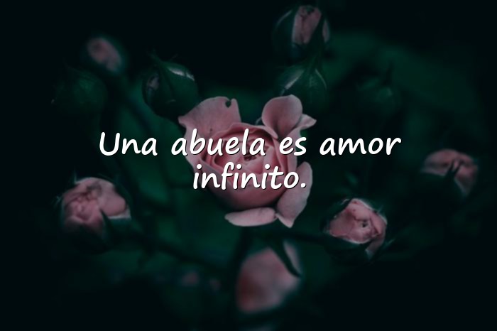Imágenes frases para abuelos - 16