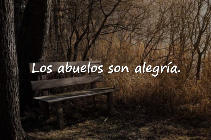 Imágenes frases para abuelos - 11