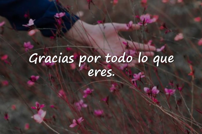 Imágenes frases para abuelos - 6