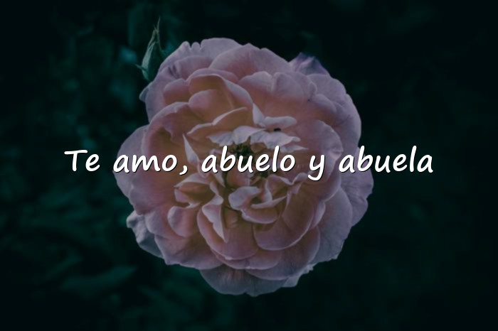 Imágenes frases para abuelos - 1