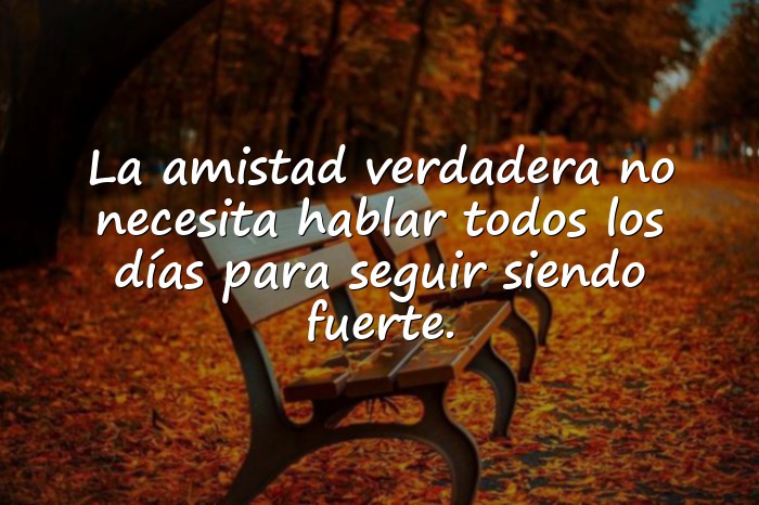 Imágenes frases para amigas especiales - 11