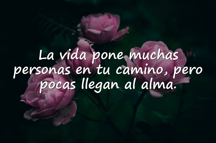 Imágenes frases para amigos - 20