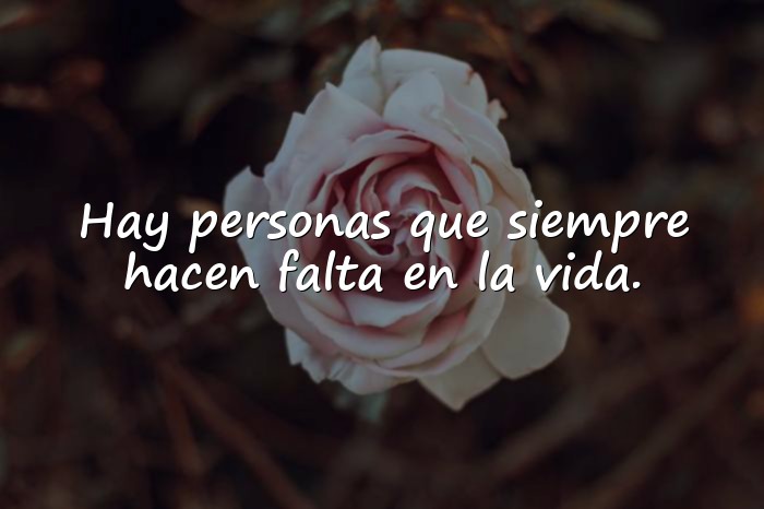 Imágenes frases para amigos - 5