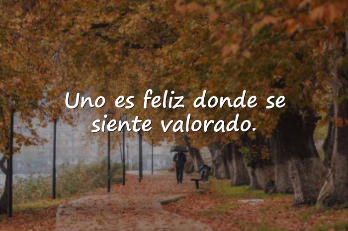 Imágenes frases para amigos - 16