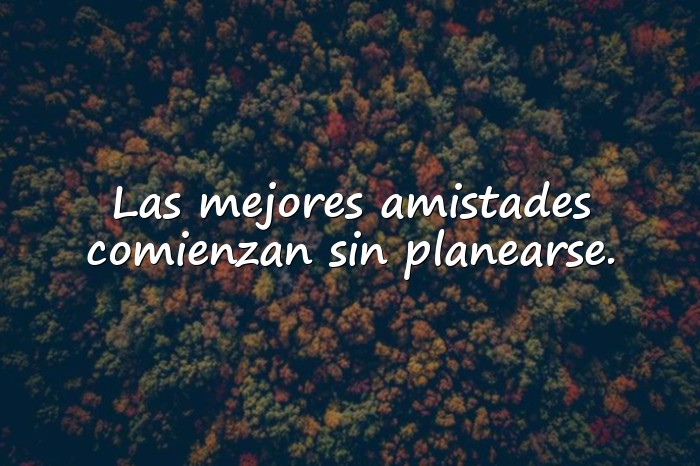 Imágenes frases para amigos - 11