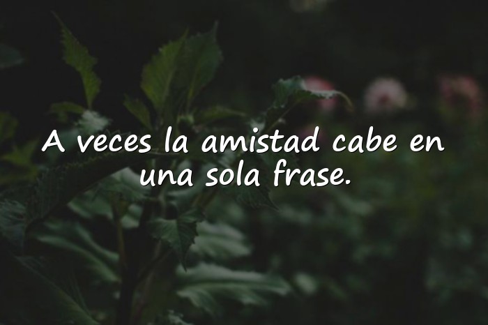 Imágenes frases para amigos - 6