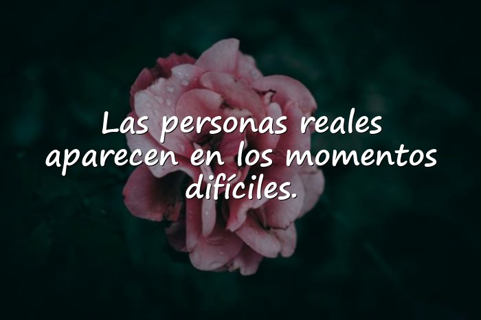 Imágenes frases para amigos - 1