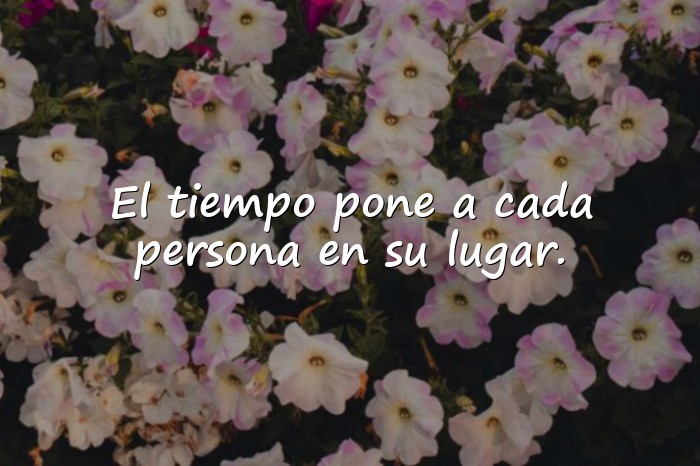 Imágenes frases para callar bocas - 7