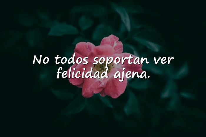 Imágenes frases para callar bocas - 23