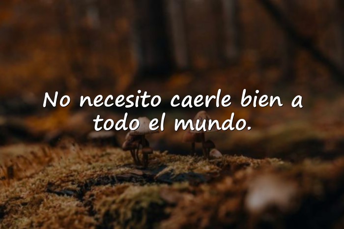 Imágenes frases para callar bocas - 8