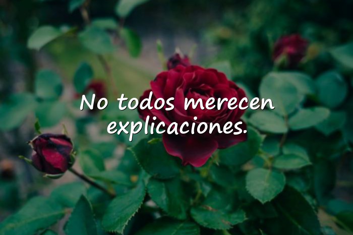 Imágenes frases para callar bocas - 5