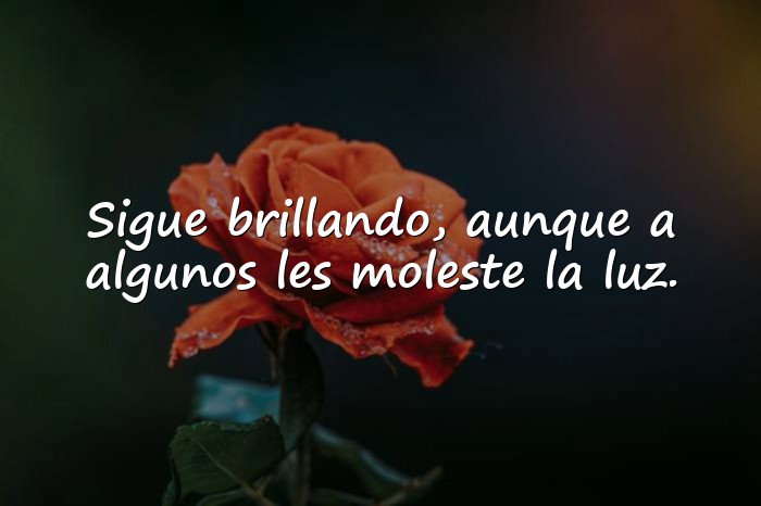 Imágenes frases para callar bocas - 1