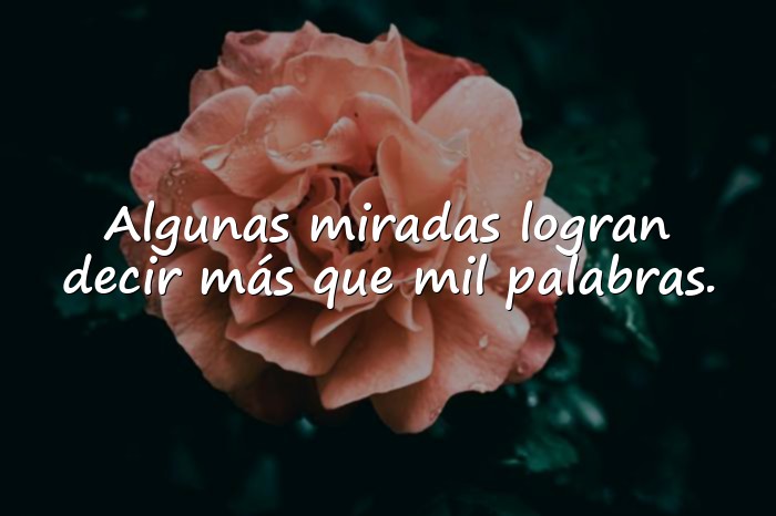 Imágenes frases para conquistar - 17