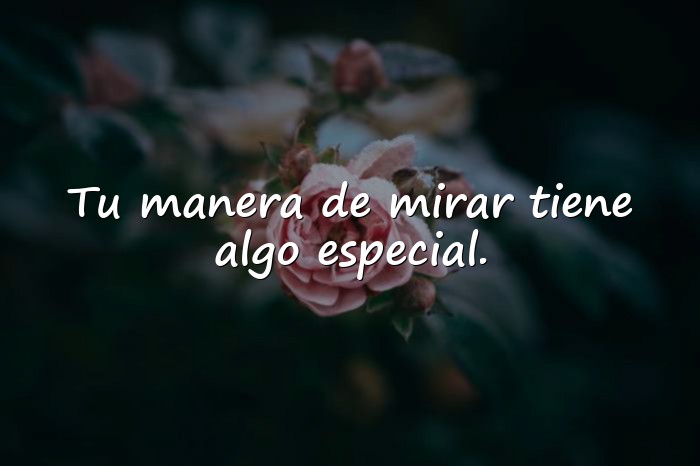 Imágenes frases para conquistar - 18