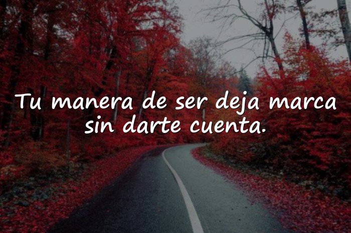 Imágenes frases para conquistar - 4