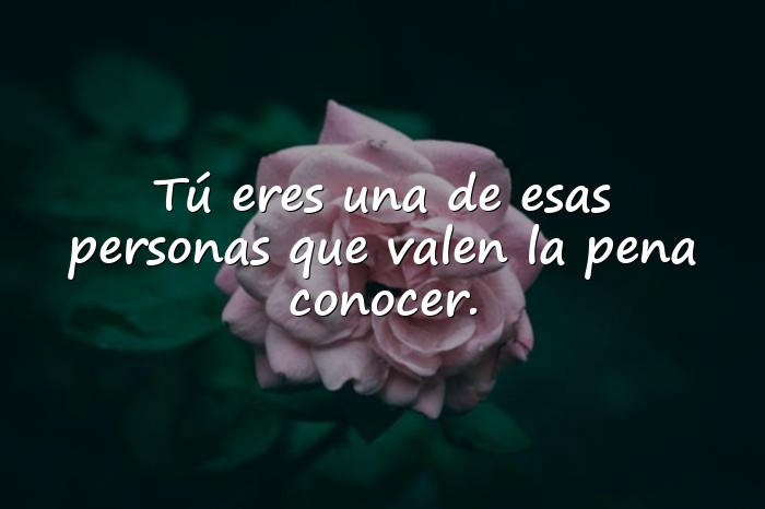 Imágenes frases para conquistar - 1