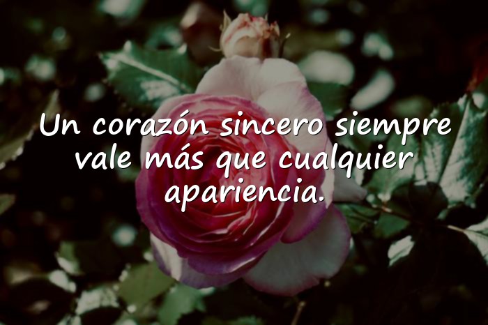 Imágenes frases para dedicar - 5
