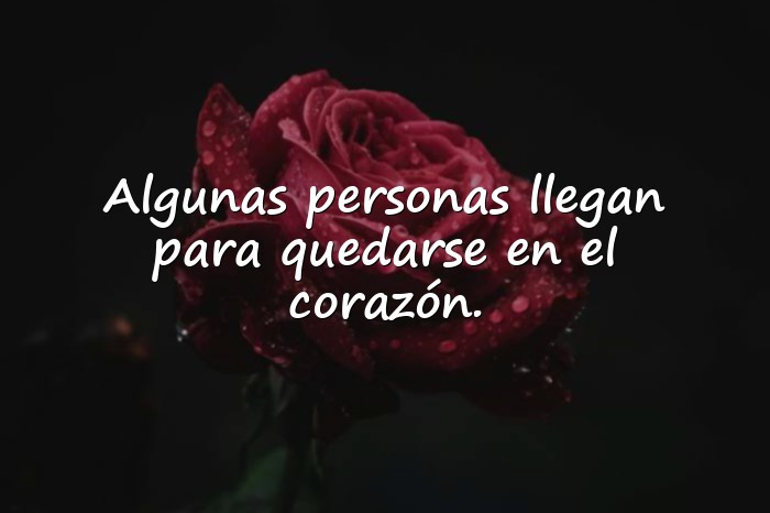 Imágenes frases para dedicar - 20