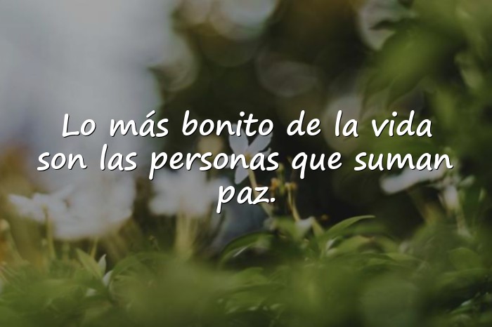Imágenes frases para dedicar - 10