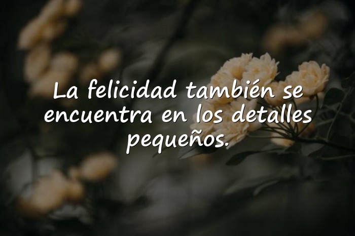 Imágenes frases para dedicar - 5